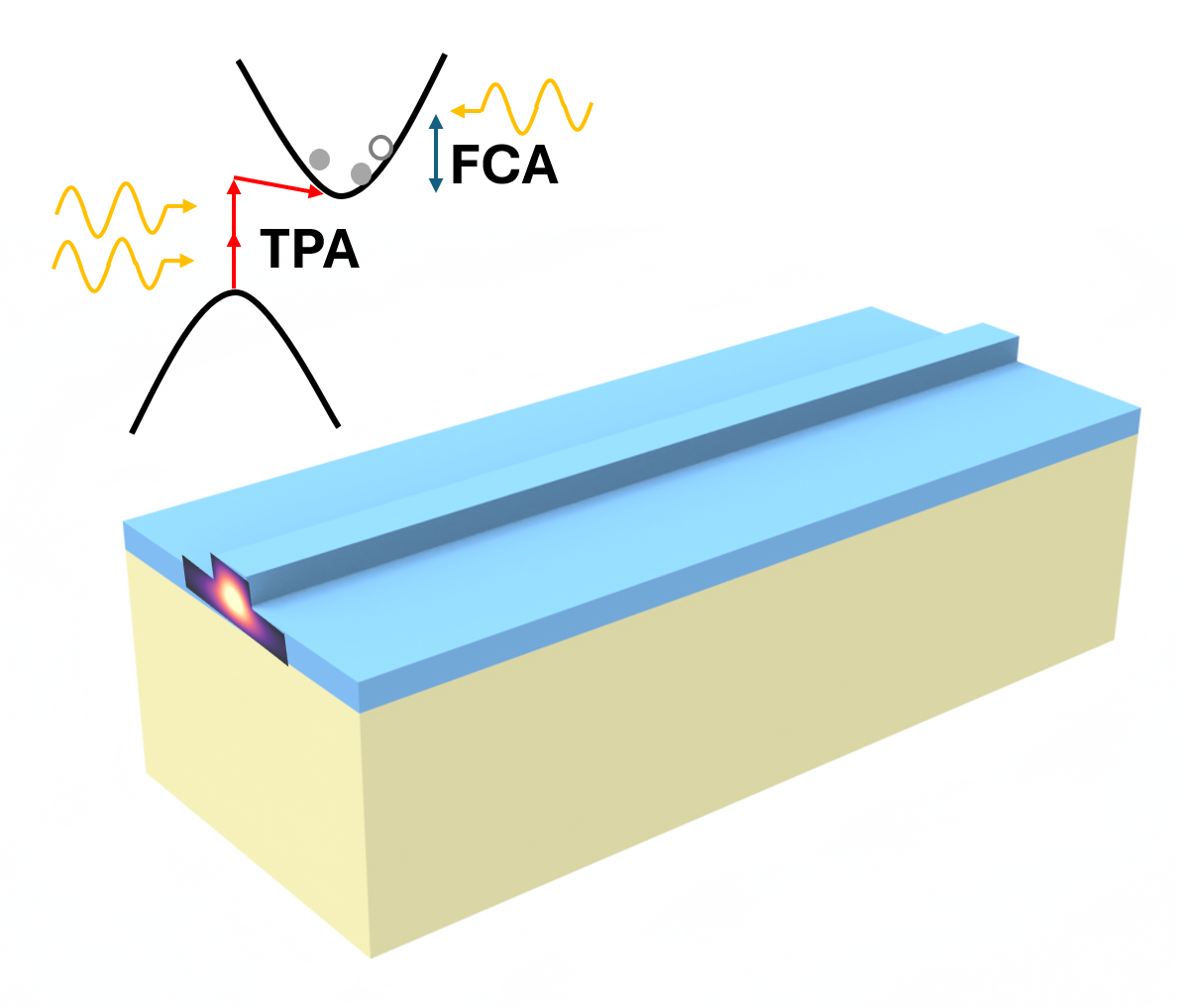 Two-photon absorption (TPA) and free-carrier absorption (FCA) in a Si waveguide